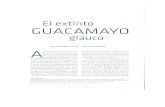 extinto Guacamayo glauco... · 2015. 2. 9. · ilustración del guacamayo glauco (Saint-Hilaire, 1837-38); (derecha) con parte de una foto de 1866 de un palmar destruido por ta Guerra