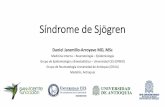 Síndrome de Sjögren · 2018. 12. 10. · Síndrome de Sjögren Daniel Jaramillo-Arroyave MD, MSc Medicina Interna –Reumatología –Epidemiología Grupo de Epidemiología y Bioestadística