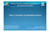 TEMA 6. DINÁMICA DE DESEMBOCADURAS - UPMocw.upm.es/pluginfile.php/1786/mod_label/intro/Tema_06... · 2019. 12. 5. · Microsoft PowerPoint - Tema_06_Dinamica de desembocaduras_01.pptx