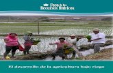El desarrollo de la agricultura bajo riego · 2020. 10. 21. · Fuente: MAGAP, 2012. Plan Nacional de Riego y Drenaje 2012-2027; SENAGUA, 2008 Concesiones. Elaboración: CAMAREN,