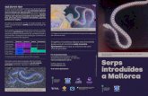 Serps a Mallorca - Artàarta.cat/images/NOTICIES/Triptic-info-serps-Mallorca.pdf · 2020. 6. 30. · tre de longitud i la serp verda arriba gairebé als 2 metres. Cap d’aquestes