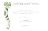 UNIVERSIDAD NACIONAL AGRARIArepositorio.una.edu.ni/3587/1/tnp40e77i.pdf · 2017. 12. 11. · Cuadro 18. Subórdenes de suelos presentes en las nueve UHs del Rio Grande de Matagalpa.40