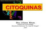 CITOQUINAS - WordPress.com · 2019. 10. 25. · Citoquinas Origen celular Efectos biológicos IL-2 Linfocitos T Proliferación, diferenciación de LT, síntesis de anticuerpos. IL-4