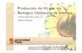 Producción de H2 por vía Biológica: Utilización de biomasa...H2 a través de la biomasa Fuentes de Energía Renovables Biomasa Métodos Biológicos Foto-electrólisis Electrólisis