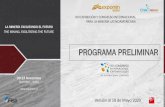 PROGRAMA PRELIMINAR - ...2020/05/18  · • Entorno Comparativo Antamina, Minera Antamina, Perú (Por Confirmar) • Productividad, Comisión Nacional de Productividad, Chile (Por