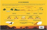 d3nehc6yl9qzo4.cloudfront.netd3nehc6yl9qzo4.cloudfront.net/downloads/infografico_extrativismo_… · O WWF-Brasil é uma organização brasileira que atua na conservação e uso sustentável