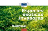 Especies exóticas invasoras - European Commission...en torno a un 10-15 % son invasoras. Se encuentran representadas en todos los grandes grupos taxonómicos: mamíferos, anfibios,