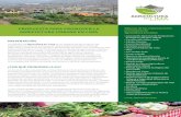 PROPUESTA PARA PROMOVER LA Algunas de las …...PROPUESTA PARA PROMOVER LA AGRICULTURA URBANA EN LIMA PRESENTACIÓN Lima, febrero de 2018 La plataforma Agricultura en Lima es un espacio