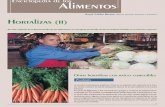 Enciclopedia de los AlimentosEnciclopedia de los Alimentos En este capítulo de la Enciclopedia de los Alimentos se completa el estudio de las hortalizas iniciado en el número anterior.