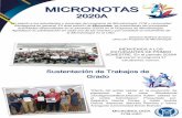 MICRONOTAS - Universidad Santiago De Cali...En ésta edición de Micronotas, se presentarán las principales actividades desarrolladas en el semestre 2020A en el Programa de Microbiología.