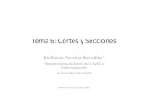 Tema 6 Cortes y Secciones · 2020. 8. 14. · 6.2 Cortes 6.2.1. Cortes a 90º (cuadrante) y a 180º (totales) 6.2.2. Cortes por planos paralelos, concurrentes y sucesivos. 6.2.3.