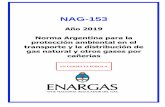 NAG -153 - ENARGAS...En consulta pública NAG-153 (2019) 6 construcción, operación y mantenimiento de las líneas de transmisión, ramales o redes, y sus respectivas instalaciones