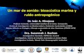 Un mar de sonido: bioacústica marina y ruido antropogénico · 2019. 1. 22. · Un mar de sonido: bioacústica marina y ruido antropogénico Dr. Iván A. Hinojosa Profesor Asistente,