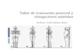 Taller de evaluación postural y elongaciones asistidas de...Taller de evaluación postural y elongaciones asistidas Profesor: Carla Molina Salas ¿Por qué evaluar? - Determinar la