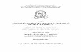 UNIVERSIDAD DE EL SALVADORri.ues.edu.sv/id/eprint/4159/1/50101329.pdf · tesis para optar al grado de: licenciatura en ciencias juridicas presentado por: sandra lorena colato alberto