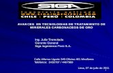 AVANCES EN TECNOLOGIAS DE TRATAMIENTO DE ......1 AVANCES EN TECNOLOGIAS DE TRATAMIENTO DE MINERALES CARBONACEOS DE ORO Ing. Julio Tremolada Gerente General Siga Ingenieros Perú S.A.