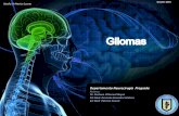 Gliomas - Dr. Gustavo Villarreal-Reyna · 2020. 7. 8. · Astrocitomas Existen tres tipo de tumores derivados de los astrocitos. § Astrocitomas-Tumor de bajo grado generalmente sin
