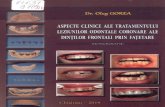 PDF2 - USMFDiscromii dentare Caria dentarä Traumatismul dentar Eroziuni dentare Hipoplazia dentarä Dinti „de tetraciclinä" 2.4. Rezultatele studiului ultramicroscopic a interfetei