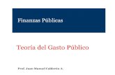 Teoría del Gasto Público - Weebly · Teoría del Gasto Público Finanzas Públicas Prof. Juan Manuel Calderón A. Teoría del Gasto Público 1. Bienes Públicos y Bienes Privados.