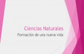Ciencias Naturales · 2020. 8. 3. · Ciencias Naturales Author: Hernan Felipe Arturo Valenzuela Ortega (hernan.valenzuela.o) Created Date: 8/2/2020 10:36:16 PM ...