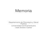 Memoria - MITAREA · 2020. 6. 5. · memoria de trabajo que está directamente implicado en el aprendizaje de la lectura, en aprender a hablar y en la comprensión del lenguaje oral