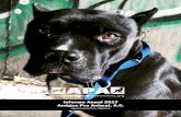 Informe Anual 2017 Amigos Pro Animal, A.C. · 2019. 1. 16. · • Esterilizaciones: 1,398 • Esterilizaciones con apoyo (gratuitas o a muy bajo costo): 615 • Cirugías distintas