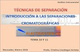 TEMA 10 Y 11 · Cromatografía en Capa Fina (TLC) Fase estacionaria Fase móvil Gel de sílice, celulosa, alúmina depositado sobre un soporte plano (lámina de aluminio o plástico)