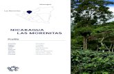 NICARAGUA LAS MORENITAS · 2019. 5. 30. · Las Morenitas coffee plants NICARAGUA LAS MORENITAS Las Morenitas is one of seven estates that reach across Jinotega and Matagalpa owned