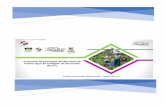 Pesquero y Rural · 2020. 9. 29. · DIRECCIÓN DE DESARROLLO BRUNCA Unidad Regional de Extensión Agropecuaria 2 1. INTRODUCCIÓN Puente Agro es la estrategia de implementación