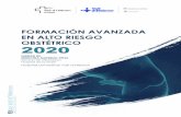 FORMACIÓN AVANZADA EN ALTO RIESGO OBSTÉTRICO 2020 · 2020. 2. 24. · Nombre del programa Formación avanzada en alto riesgo obstétrico Tipo de programa Formación avanzada Plazas: