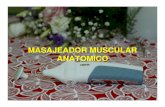 MASAJEADOR MUSCULAR ANATOMICO - Geocities.ws · 2011. 4. 2. · Masajeador Muscular Anatomico El perfeccionamiento exitoso de este masajeador muscular ha agregado una nueva forma