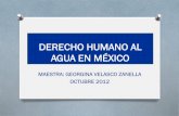 DERECHO HUMANO AL AGUA EN MÉXICO · riccardo petrella de: el manifiesto del agua para el siglo xxi. o. el agua pertenece al Ámbito de los derechos - y, por lo tanto, de los deberes