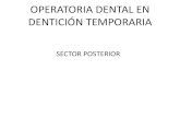OPERATORIA DENTAL EN DENTICIÓN TEMPORARIA · 2018. 7. 30. · agujas usadas en odontopediatria Odontología Pediatrica. Bordoni. • Cap 19 Odontología Restauradora en el niño