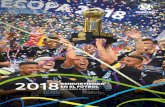 2018...incrementaron los premios para los finalistas de los torneos de clubes más importantes de la CONMEBOL. En la CONMEBOL Libertadores 2018 duplicamos los premios para el Campeón