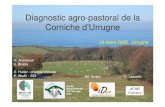 Diagnostic agro-pastoral de la Corniche d’Urrugnegis-id64.org/wp-content/uploads/2018/05/5.2.8.pdf · 2018. 5. 28. · A10 Urrugne 17 24 maïs G & E, blé, maraîchage 7 veaux 111000