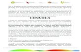 Convocatoria 2012 OSC IVM PAIMEF 2012...Dichos documentos tienen que ser enviados a los siguientes correos electrónicos: contactoivm@ivermujeres.gob.mx y lacruz@ivermujeres.gob.mx