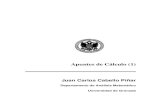 Apuntes de Cálculo (1) - UGR · 2012. 10. 11. · Apuntes de Cálculo (1) Juan Carlos Cabello Píñar Departamento de Análisis Matemático Universidad de Granada