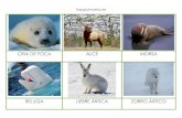 CRIA DE FOCA ALCE MORSA - Happy Mama · 2017. 4. 26. · happymama.es cria de foca alce morsa beluga liebre Ártica zorro Ártico