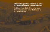 Burdingintza Triano eta Galdamesko mendietan Minería del hierro en los montes de ... · 2010. 8. 30. · Los montes de Triano y Galdames, jirones verdes de pasto y árbol, blancos