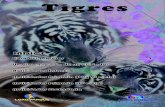Tigres - Loro Parque · 2016. 2. 5. · El anciano tigre llevó al pequeño tigre junto al río, y le dijo: - Mírate a ti mismo, asómate y verás tu reflejo. Mírate y busca tus