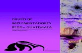 GRUPO DE IMPLEMENTADORES REDD+ GUATEMALA · 2015. 9. 30. · 9 Grupo de Implementadores REDD+ Guatemala La experiencia en América Latina ha mostrado que la mayoría de los enfoques