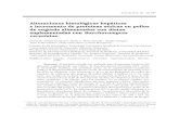 Alteraciones histológicas hepáticas e incremento de ...ve.scielo.org/pdf/ic/v48n4/art04.pdf · 432 Arrieta-Mendoza y col. Recientemente se ha asociado la pre-sencia de anticuerpos