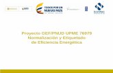 Proyecto GEF/PNUD UPME 76979 Normalización y Etiquetado …etiquetaenergetica.gov.co/wp-content/uploads/2016/...CALENTADORES DE AGUA A GAS TIPO PASO Articulo 15º numeral 15.2 . Unidad