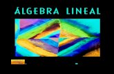 ÁLGEBRA LINEALsandoval/ALAverano2013/AlgebraLineal.pdf · 5 Aplicaciones de vectores en R2 y R3 (opcional) 2595.1 Producto cruz en R3 2595.2 Rectas y planos 264 6 Espacios vectoriales