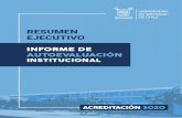 RESUMEN EJECUTIVO · 2020. 10. 6. · académicas al diagnóstico y el apoyo especializado para la implementación del histórico plebiscito comunal, así como de iniciativas estudiantiles