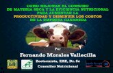 Fernando Morales Vallecilla - Avesca · 2018. 4. 26. · Fernando Morales Vallecilla Zootecnista, EAE, Dr. Sc Consultor Nutricional «La producción de leche y carne en América latina