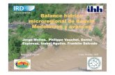 Division HYBAM Balance hídrico microregional de Bolivia ...Base de datos geográficos: mapas topográficos, temáticos, Cuencas BH Beni Bermejo Desag-Poopó Grande Ichilo-Mamoré