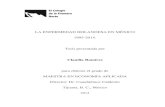 LA ENFERMEDAD HOLANDESA EN MÉXICO 1995-2014 ......medio del análisis de la Causalidad de Granger, las Funciones Generalizadas de Respuesta al Impulso (FGRI) y de la Descomposición