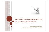 VACUNAS RECOMENDABLES EN EL PACIENTE ASPLÉNICO. · 2019. 8. 26. · |Vacuna antineumocócica conjugada de 13 serotipos, Prevenar13. Ministerio de Sanidad, Servicios Sociales e Igualdad.