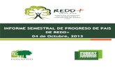 INFORME SEMESTRAL DE PROGRESO DE PAIS DE REDD+ 04 de ...reddcr.go.cr/sites/default/files/centro-de... · INFORME SEMESTRAL DE PROGRESO DE PAÍS DE REDD+ PAIS: Costa Rica PERIODO: